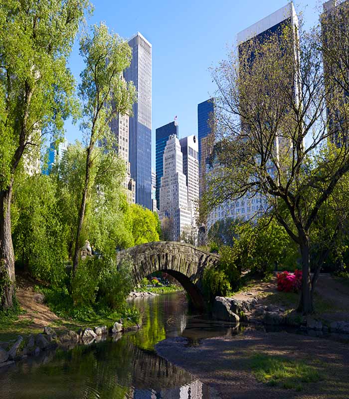 Accessible cities- New York